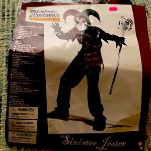 Sinister Jester Halloween Costume Kids